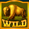 buffalo rising megaways slot gold buffalo wild symbol