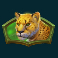 safari of wealth slot leopard symbol
