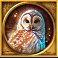 skadis hunt slot owl symbol