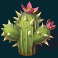 wild duel slot cactus symbol