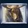wild tundra slot deer symbol