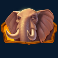 win a beest slot elephant symbol