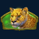 win a beest slot leopard symbol