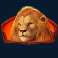 win a beest slot lion symbol