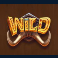 win a beest slot wild symbol