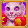 alice in adventureland slot white rabbit symbol