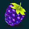 blazing bells slot blackberry symbol