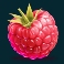 blazing bells slot raspberry symbol