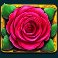 fiesta de san fermin slot pink rose money symbol