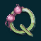 flodder slot q symbol