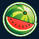 fruit shop slot watermelon symbol
