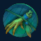 hex slot bird foot symbol