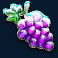 ice joker slot grapes symbol
