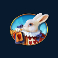 queenie slot white rabbit symbol