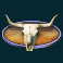zz top roadside riches slot cattle skull symbol