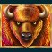 bison bonanza slot american bison symbol