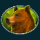 bison bonanza slot bear symbol