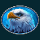bison bonanza slot eagle symbol