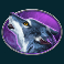 bison bonanza slot wolf symbol