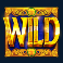 clover gold slot wild symbol