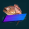 golden catch megaways slot bronze gold fish symbol
