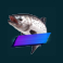 golden catch megaways slot silver gold fish symbol