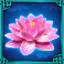 megapearl gigablox slot flower symbol