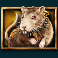 misery mining slot rat symbol