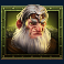 vikings go to valhalla slot green viking symbol