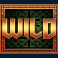 vikings go to valhalla slot wild symbol