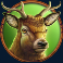 wolf strike slot deer symbol