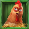 animal madness slot chicken symbol