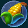 animal madness slot corn symbol