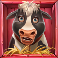 animal madness slot cow symbol