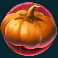 animal madness slot pumpkin symbol