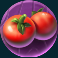 animal madness slot tomatoes symbol