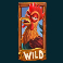 animal madness slot wild chicken symbol