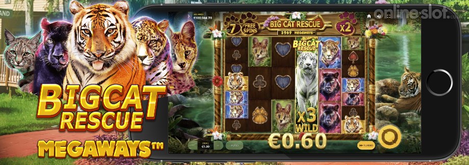 big cat rescue megaways mobile slot