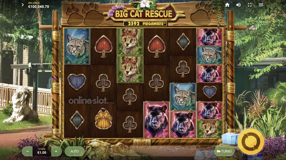 big cat rescue megaways slot base game