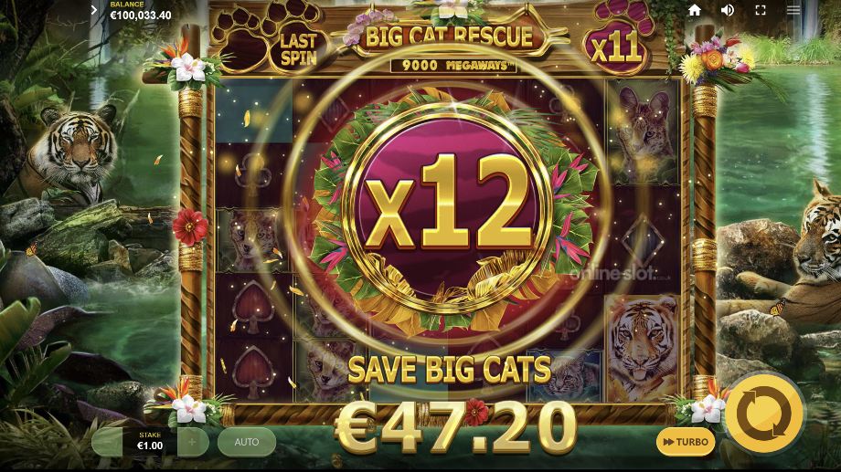 big cat rescue megaways slot free spins feature
