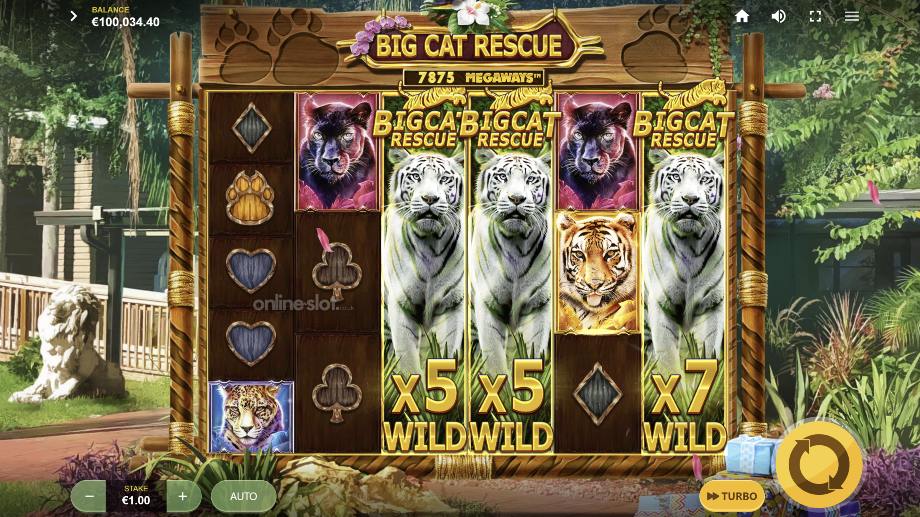 big cat rescue megaways slot white tiger mega wilds feature