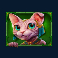 cleocatra slot green cat symbol