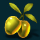divine riches helios slot grapes symbol