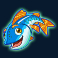 fishin frenzy power 4 slots slot fish symbol