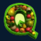 fruity friends slot q symbol