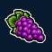 joker hot reels slot grapes symbol