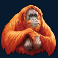 legacy of the tiger slot orangutan symbol