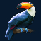 legacy of the tiger slot toucan symbol