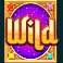 lost city of the djinn slot wild symbol
