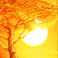 raging rhino megaways slot sunset wild symbol